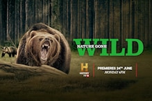 Untamed, Unpredictable and Unseen: Watch Nature Gone Wild On History TV18